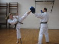 Mawashi Geri